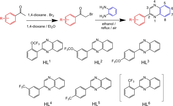 Scheme 2