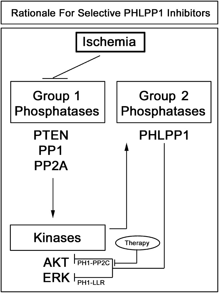 Fig. 10.