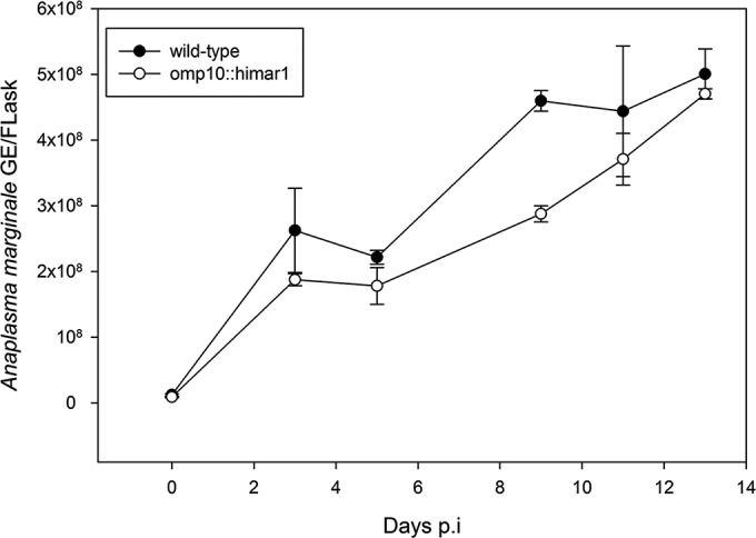 FIG 3