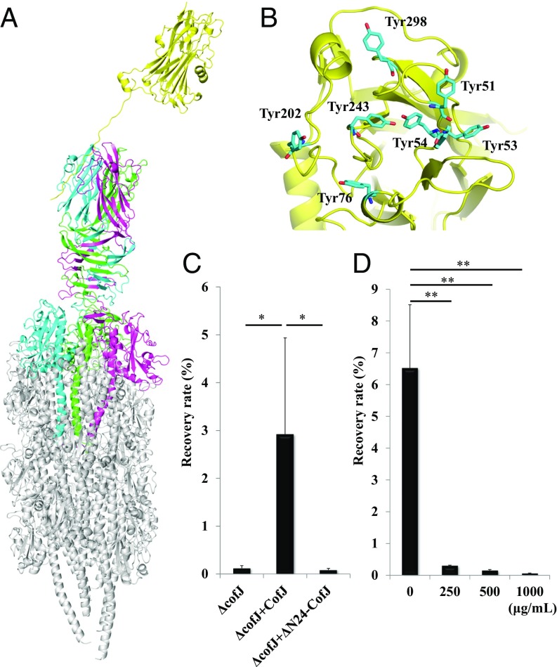 Fig. 4.