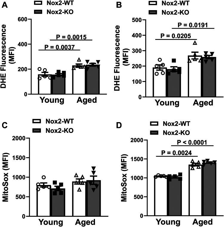 Figure 4