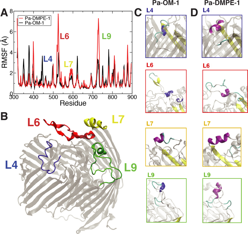 Figure 3: