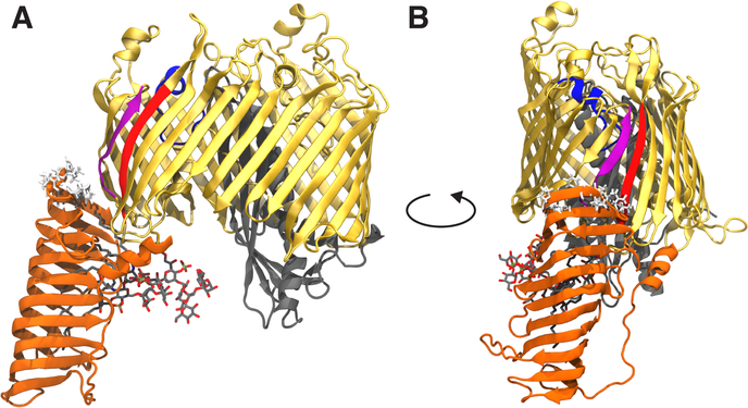 Figure 1: