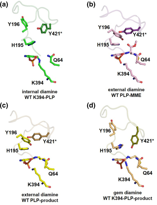 FIGURE 3
