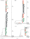 Fig. 4
