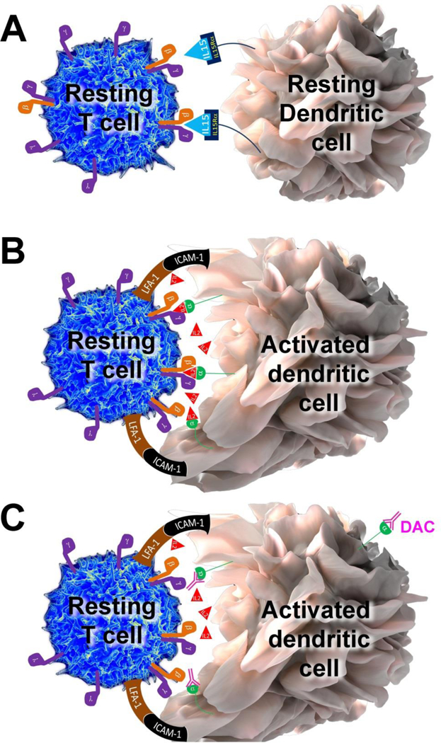 Figure 2: