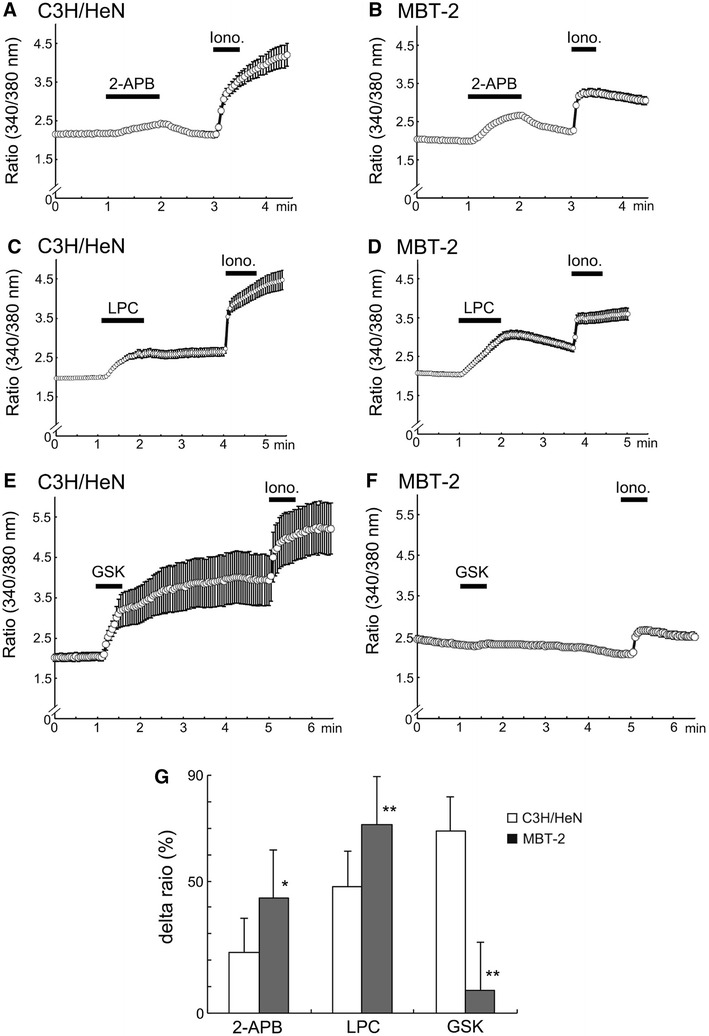 Fig. 2