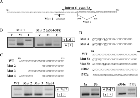 Figure 7.