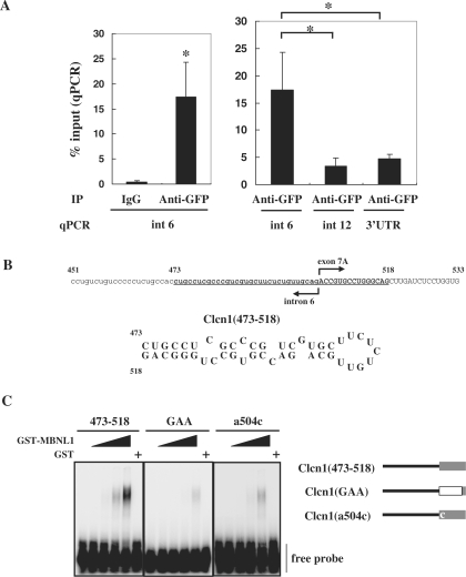 Figure 6.