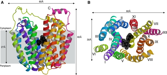 Fig. 1