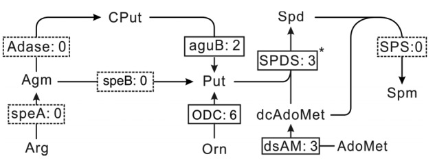 Fig. 4