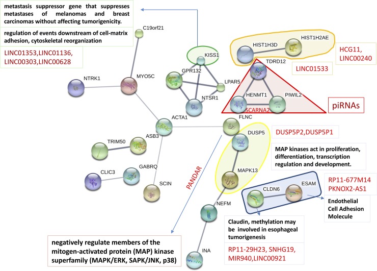 Fig 4