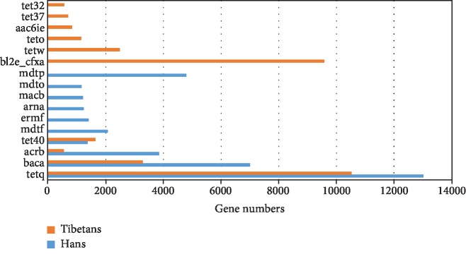 Figure 5