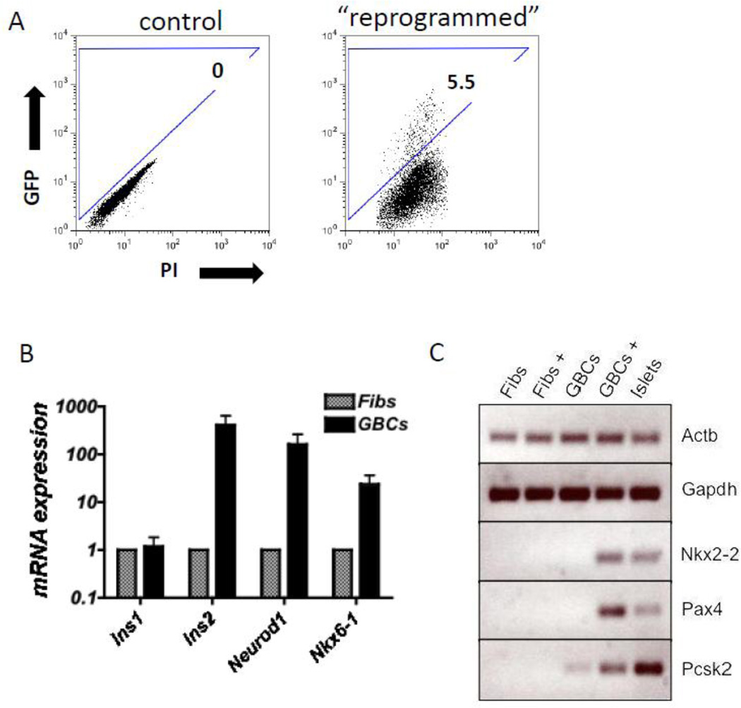 Figure 5