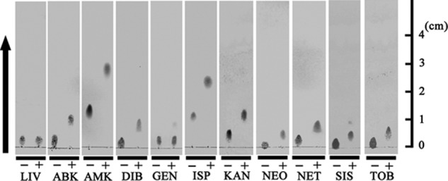 Fig 3