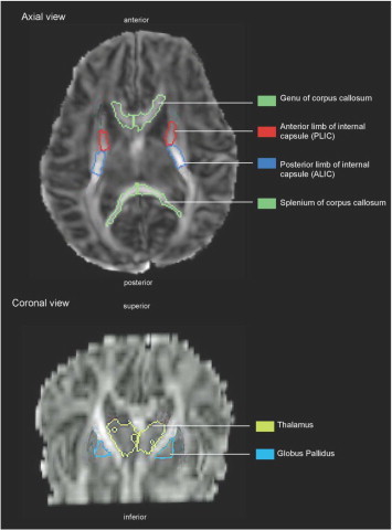 Fig. 1