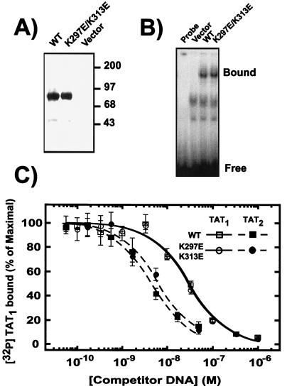 FIG. 6