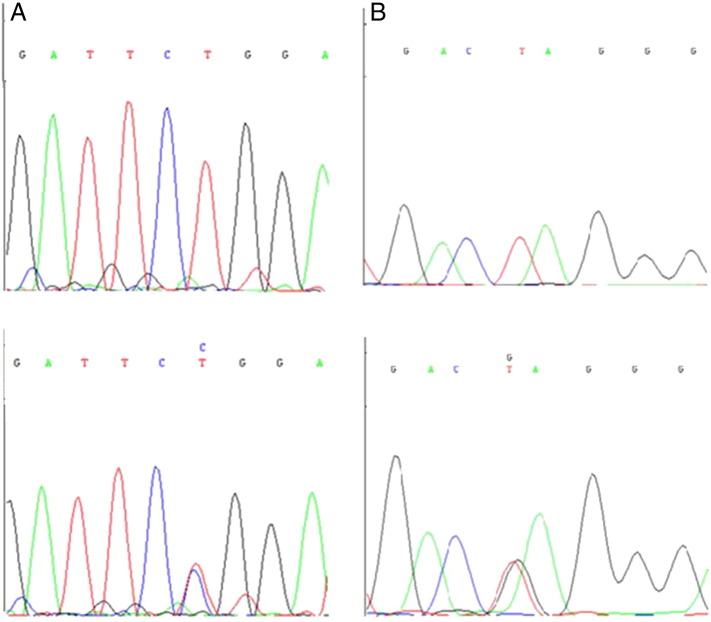 Fig. 3