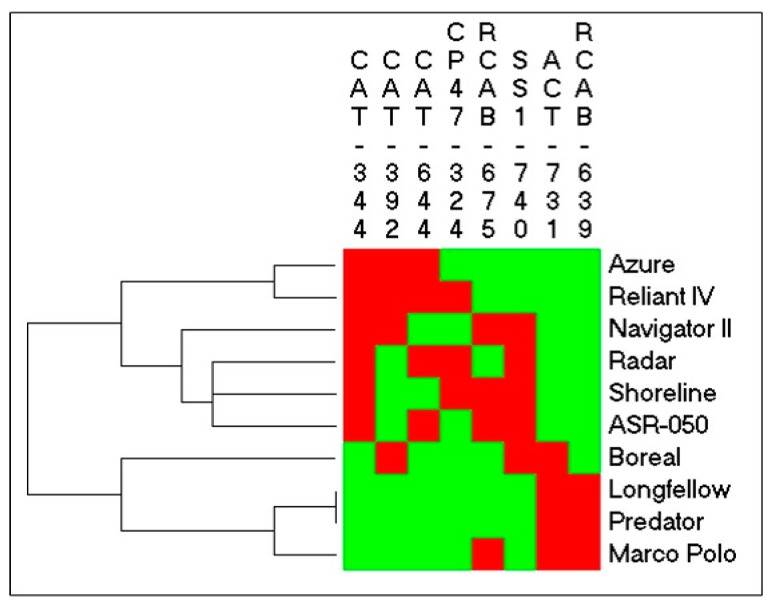 Figure 12