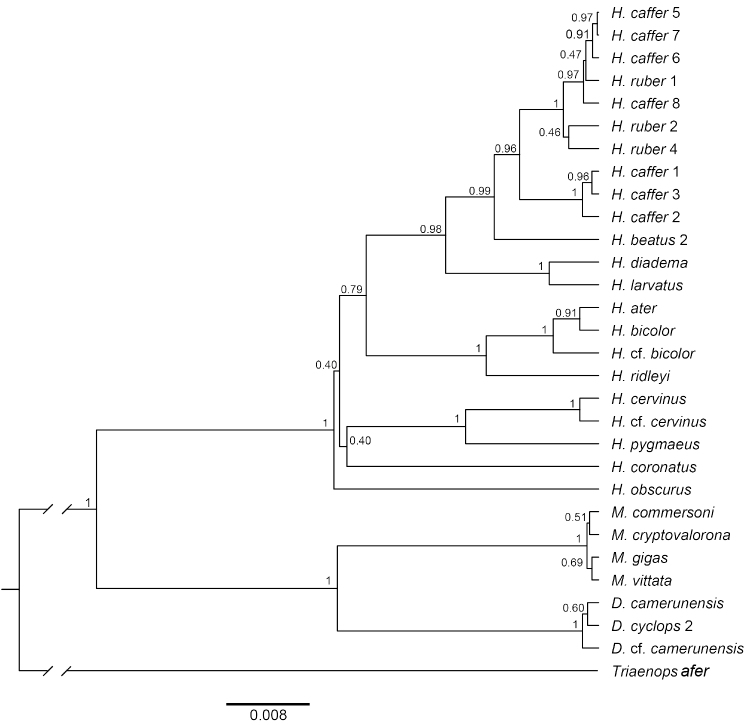 Figure 6.