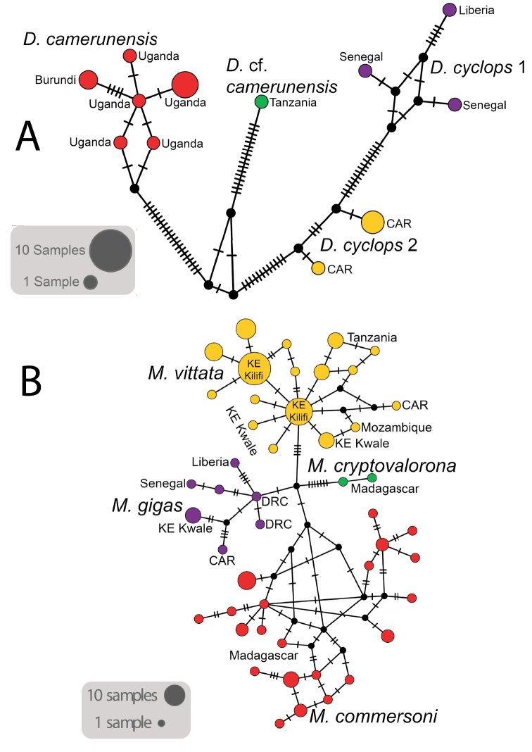 Figure 3.