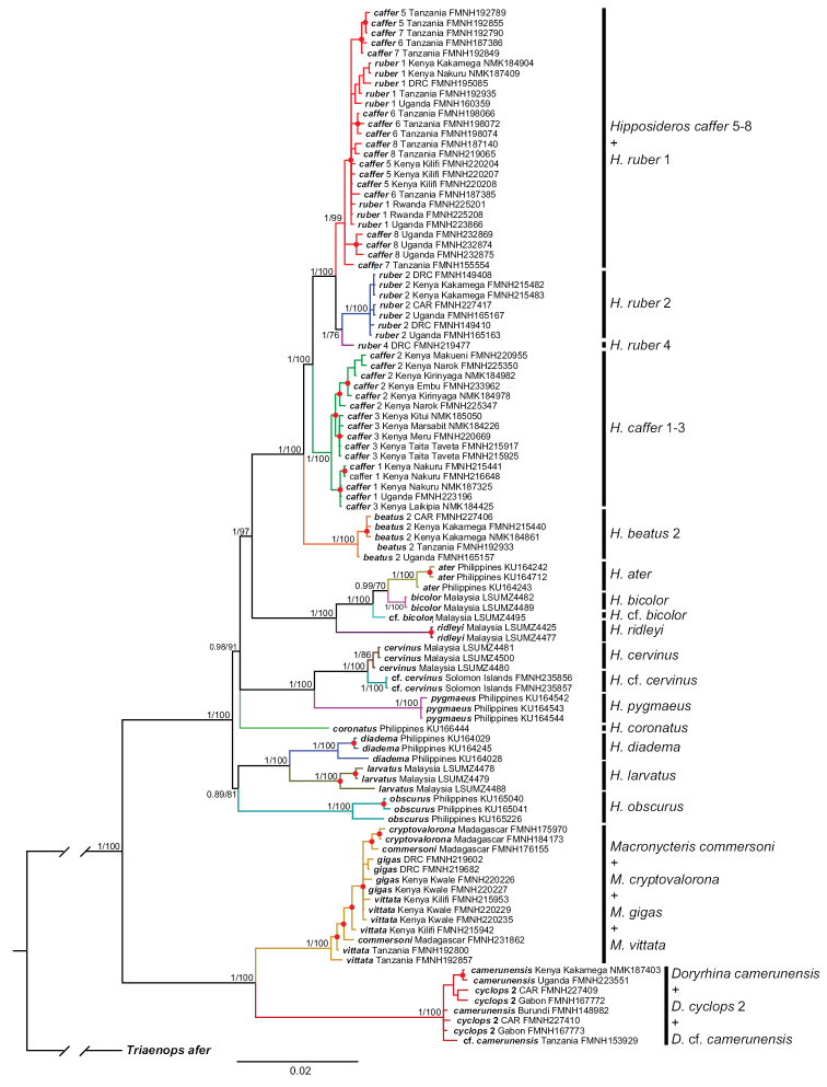 Figure 5.