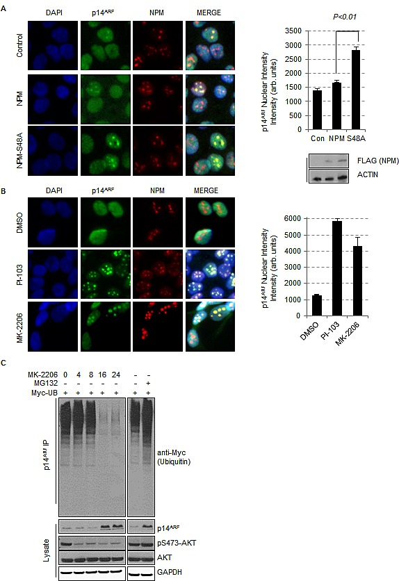 Fig.3