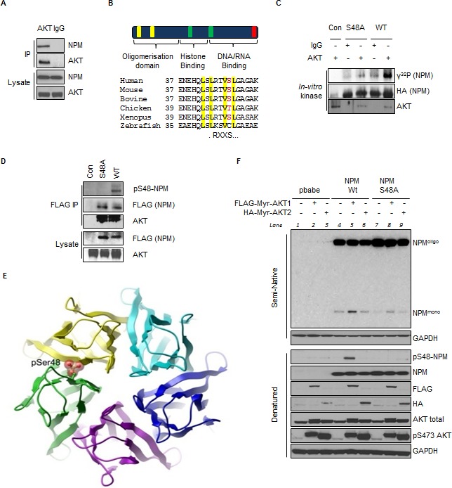 Fig.1