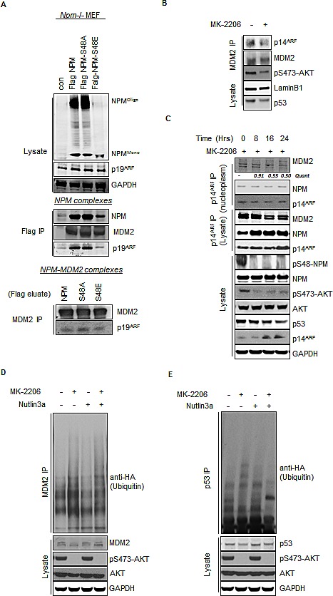 Fig.4