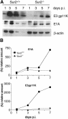 FIG. 10.