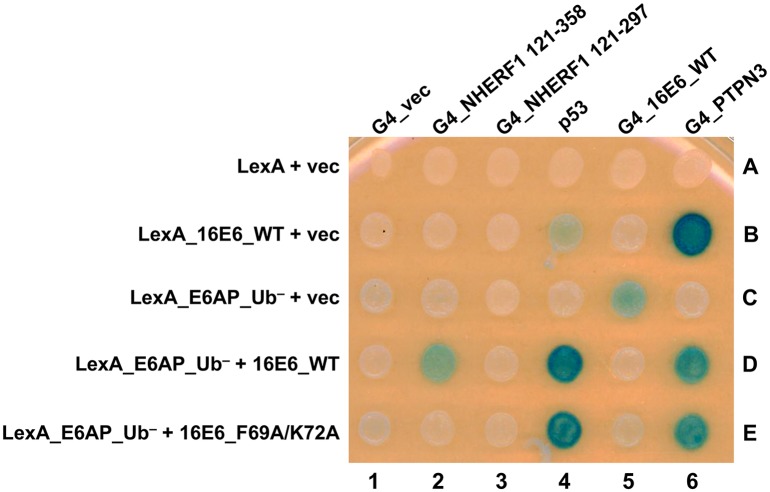 Fig 9