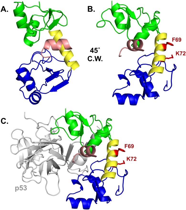 Fig 6