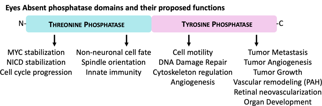 Fig. 13.