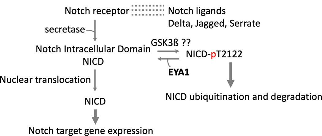 Fig. 10.