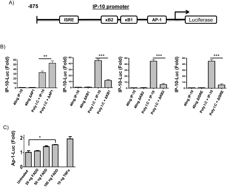 Fig 6