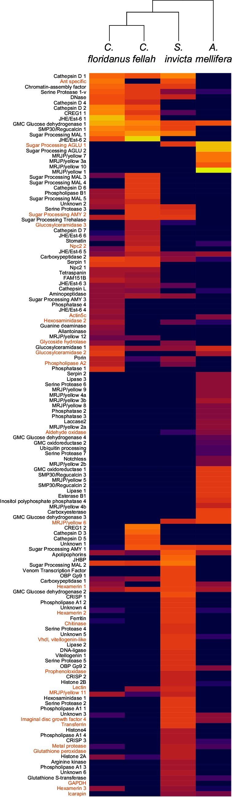 Figure 5—figure supplement 1.