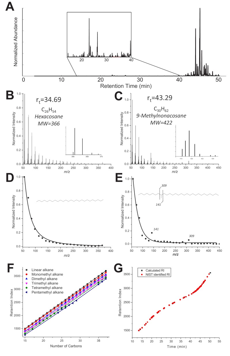 Figure 3—figure supplement 1.