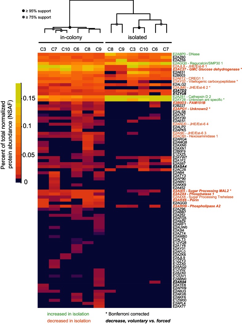 Figure 1—figure supplement 2.