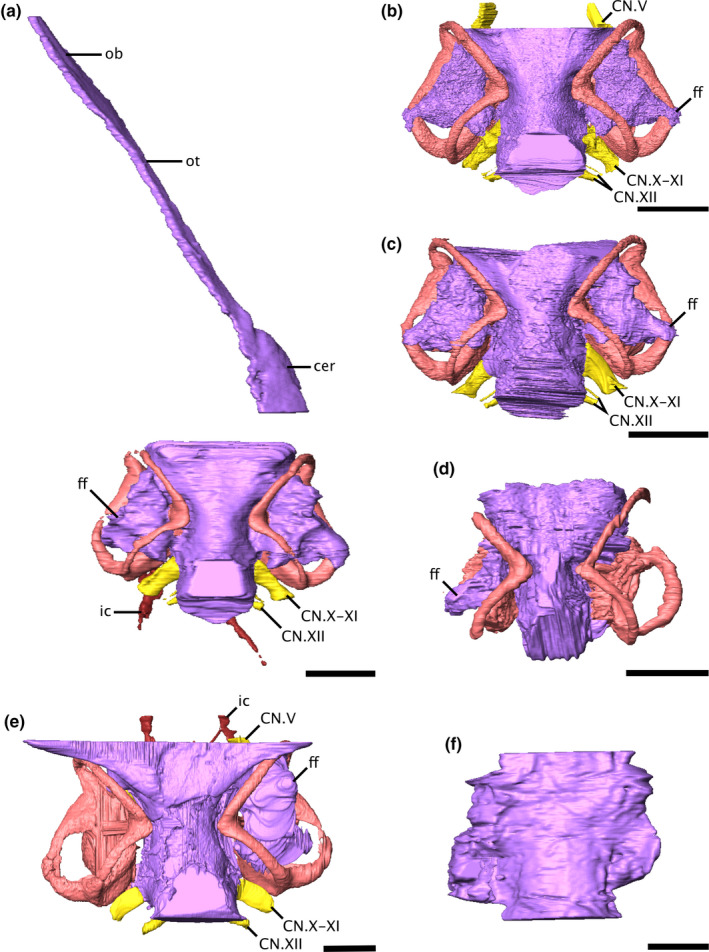 FIGURE 1