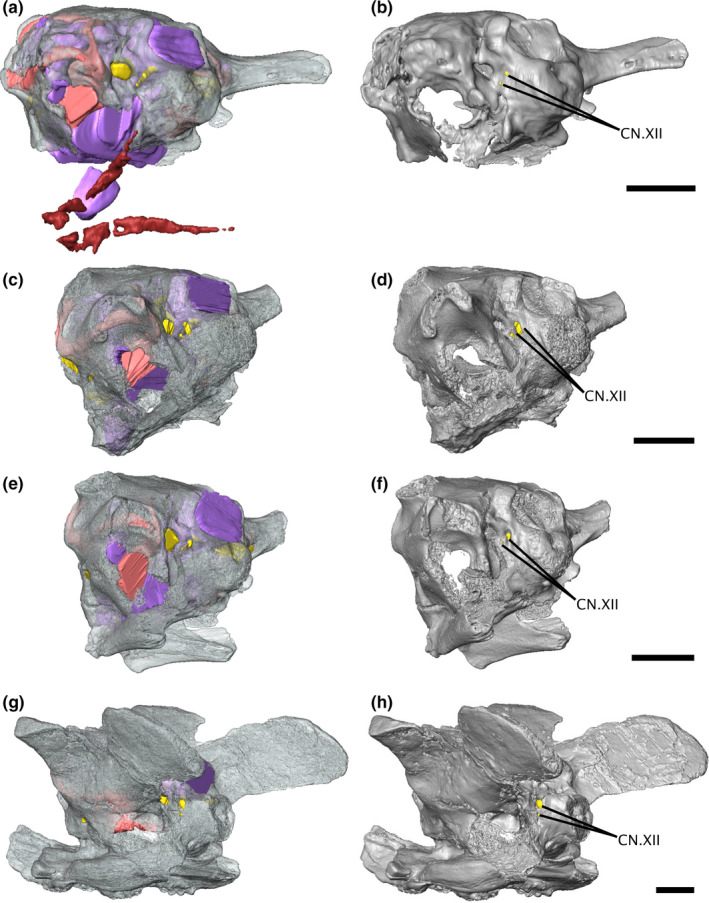 FIGURE 4