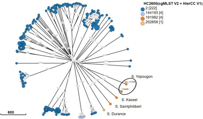 Fig. 1