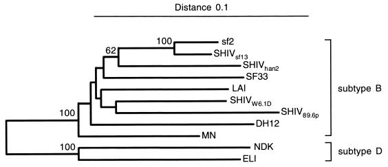 FIG. 1