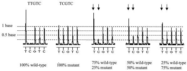 FIG. 3