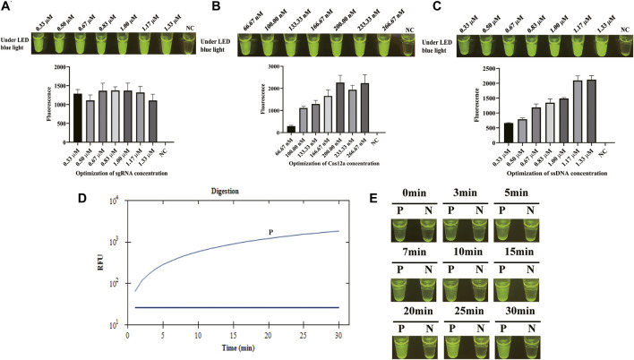 FIGURE 3