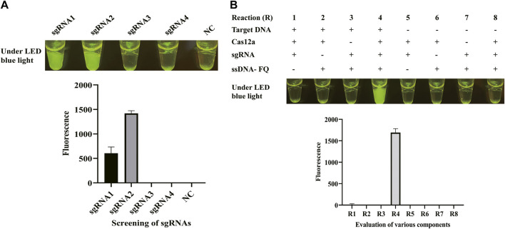 FIGURE 2