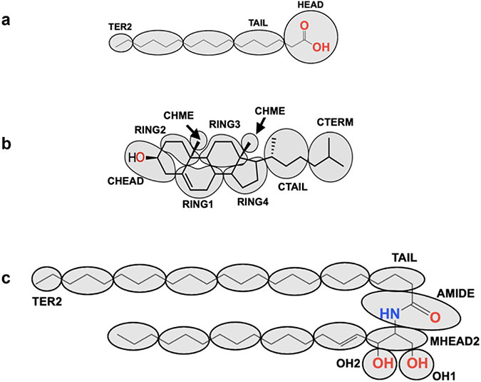 Fig. 10.