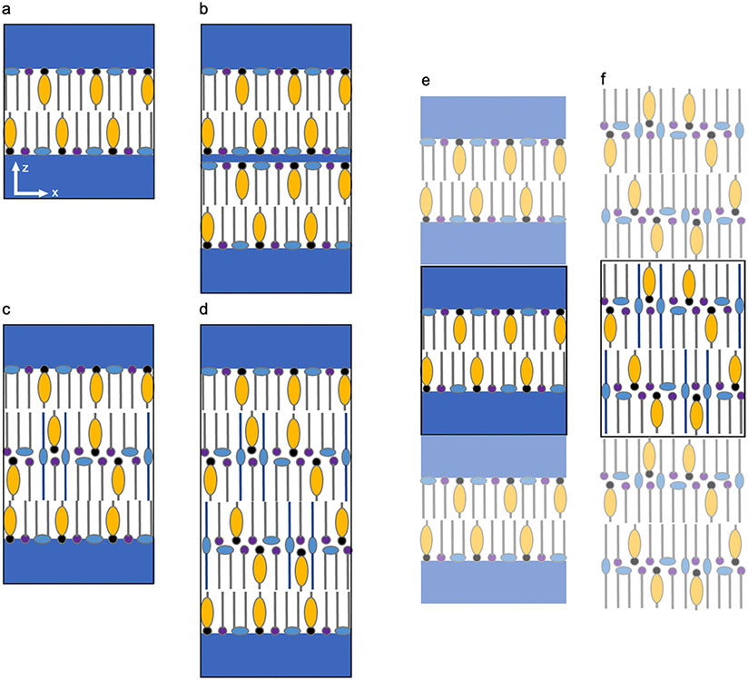 Fig. 5.