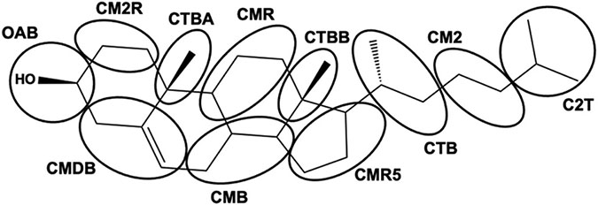 Fig. 11.