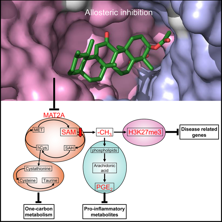 Unlabelled Image