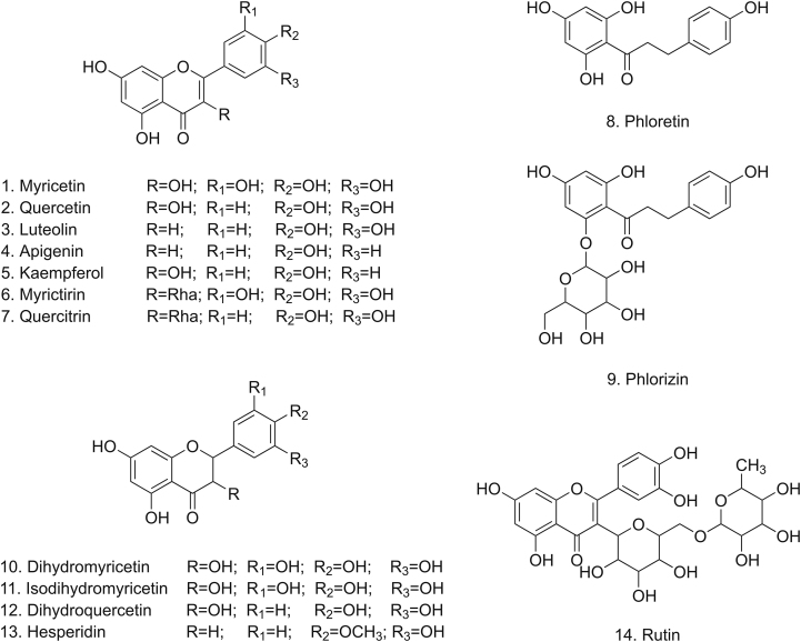 Fig. 2